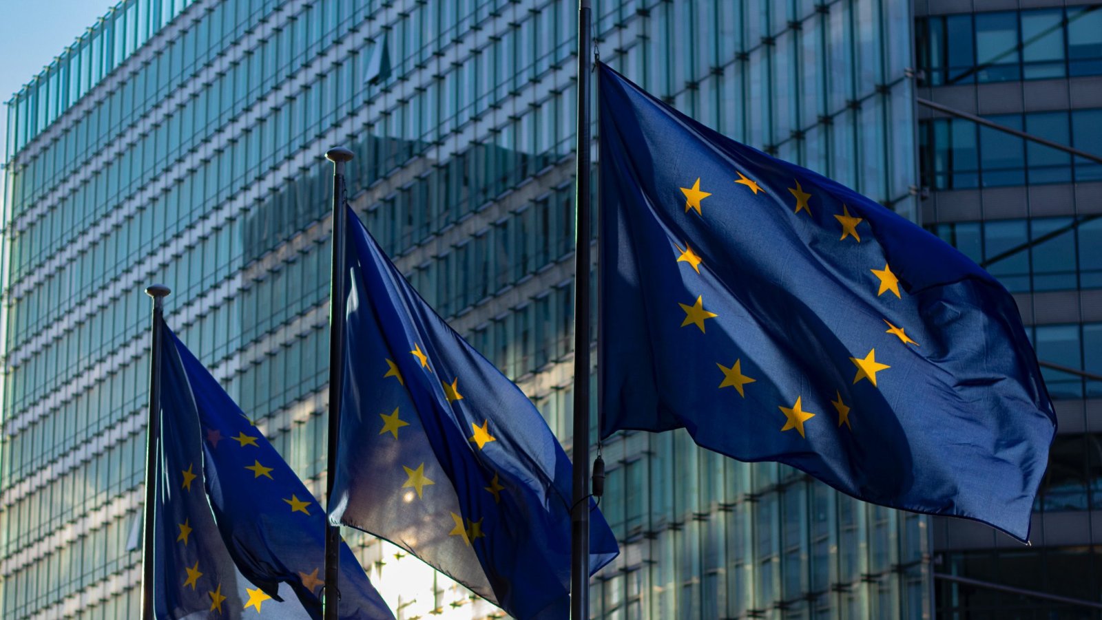 European Union flags flying in front of a glass office building